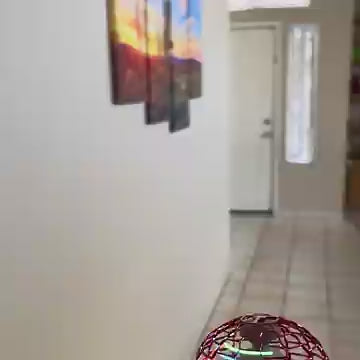 The Original Sky Orb - The Flying Ball Toy